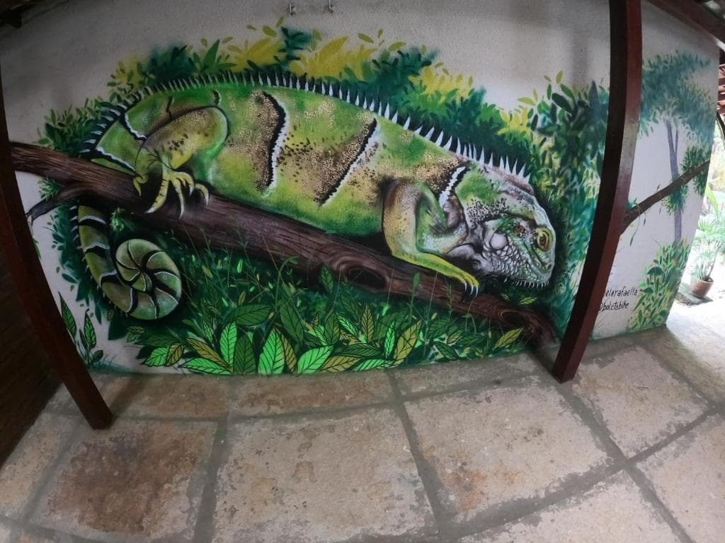 Mural de iguana pintado à mão no Hostel Lençóis Park